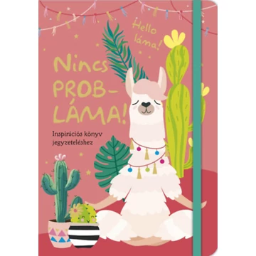 Nincs probláma! - Inspirációs könyv jegyzeteléshez