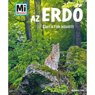 Az erdő - Élet a fák között - Anette Hackbarth