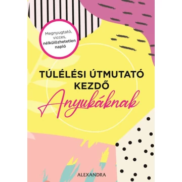 Túlélési útmutató kezdő anyukáknak - Amy Ransom