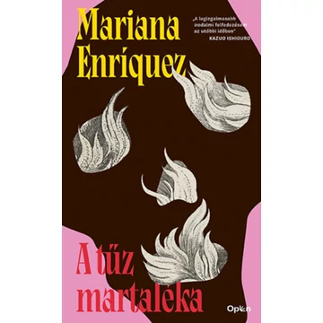 A tűz martaléka - Mariana Enríquez