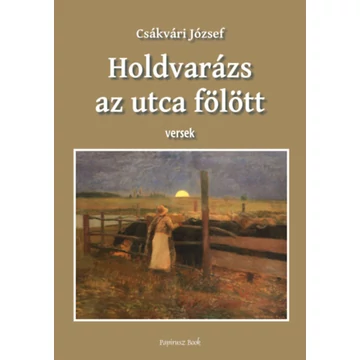 Holdvarázs az utca felett - Versek - Csákvári József