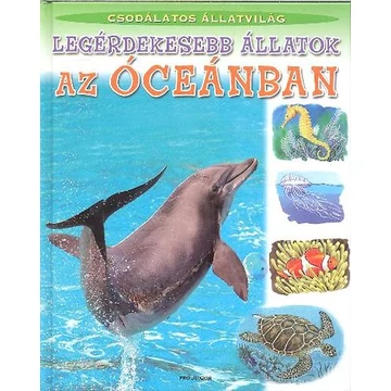 Legérdekesebb állatok az óceánban - Csodálatos állatvilág