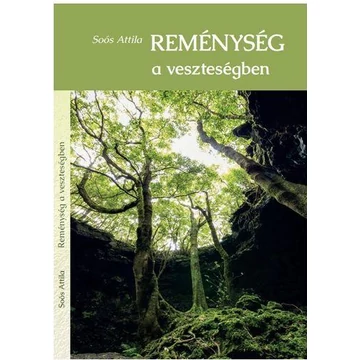 Reménység a veszteségben - Soós Attila