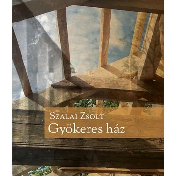 Gyökeres ház - Szalai Zsolt