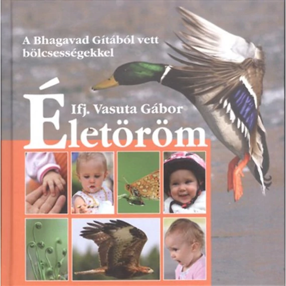 Életöröm - A Bhagavad Gitából vett bölcsességekkel - Ifj. Vasuta Gábor