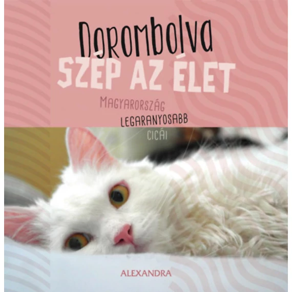 Dorombolva szép az élet - Magyarország legaranyosabb cicái - 365 gondolat