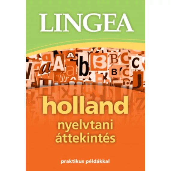 Holland nyelvtani áttekintés