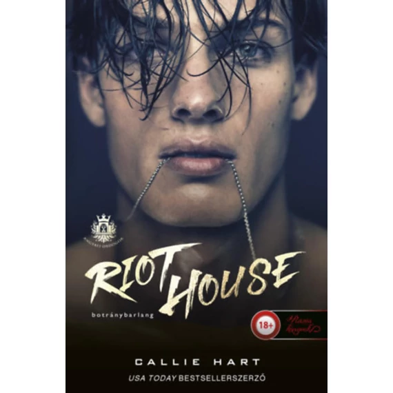 Riot House - Botránybarlang - Angyali ördögök 1. - Callie Hart