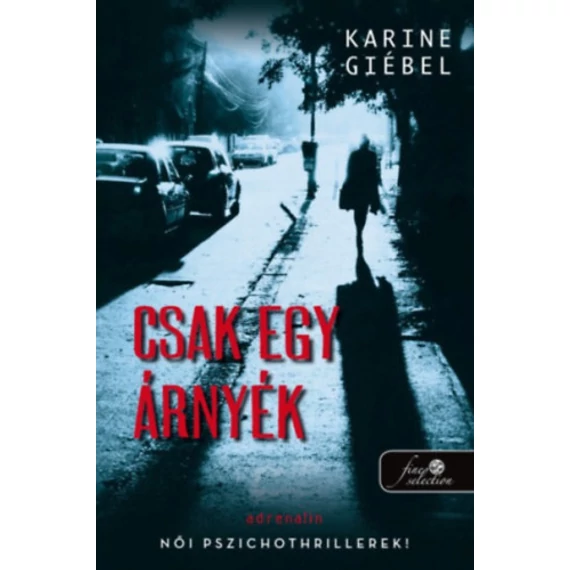 Csak egy árnyék - Karine Giebel