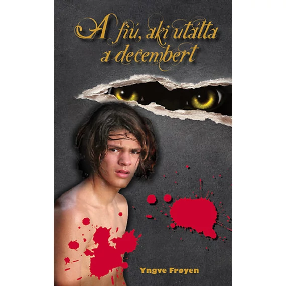 A fiú, aki utálta a decembert - Yngve Froyen
