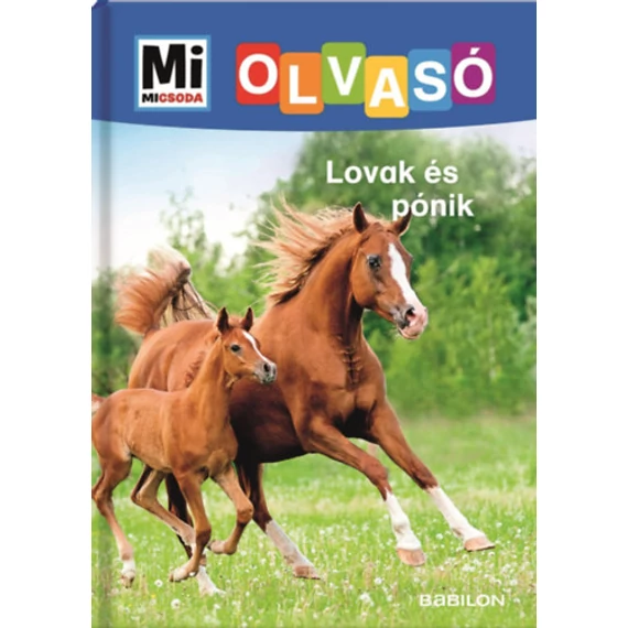 Lovak és pónik - Mi Micsoda Olvasó - Christina Braun
