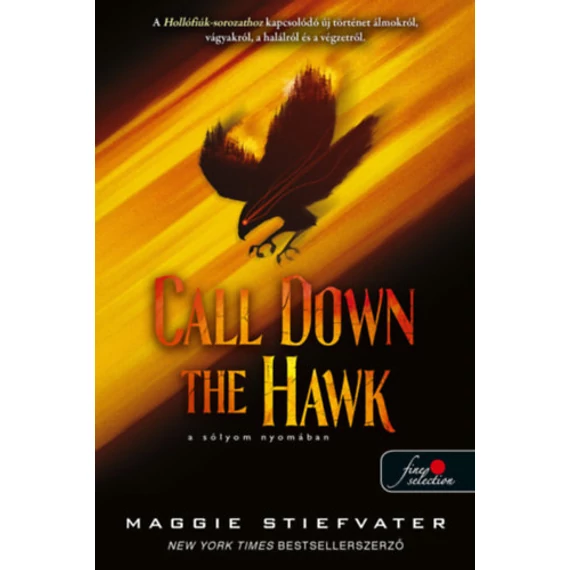 Call Down the Hawk - A sólyom nyomában - Álmodók-trilógia 1. - Maggie Stiefvater
