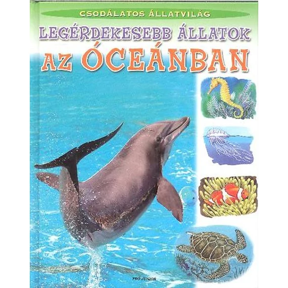 Legérdekesebb állatok az óceánban - Csodálatos állatvilág