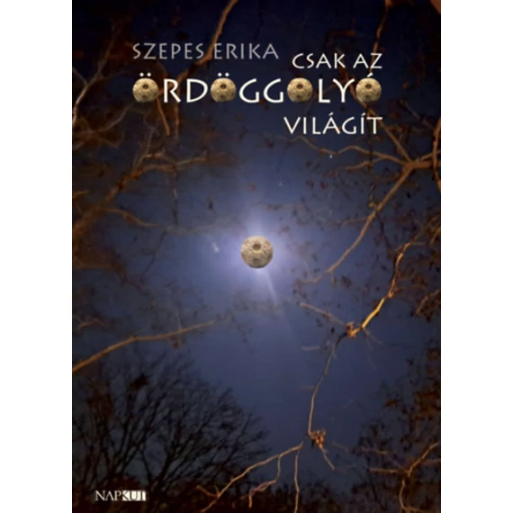 Csak az Ördöggolyó világít - Szepes Erika