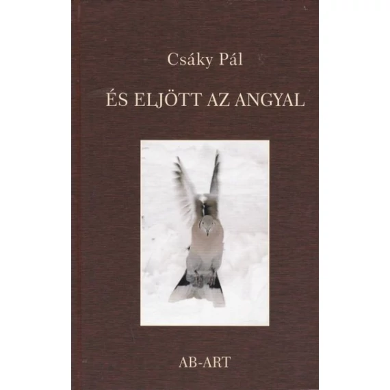 És eljött az angyal - Csáky Pál