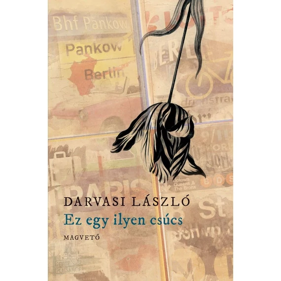 Ez egy ilyen csúcs - Darvasi László