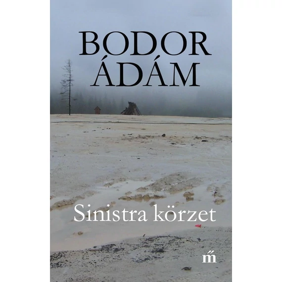 Sinistra körzet - Bodor Ádám