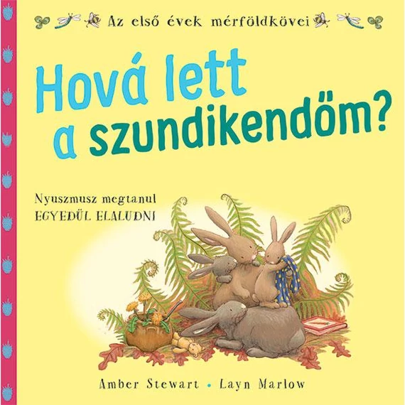 Hová lett a szundikendőm? - Amber Stewart