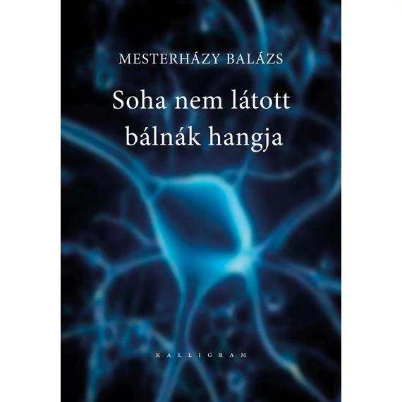Soha nem látott bálnák hangja - Mesterházy Balázs