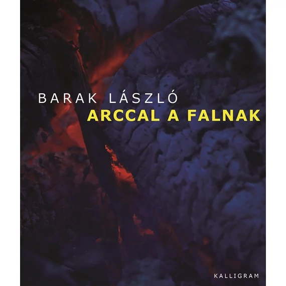 Arccal a falnak - Barak László