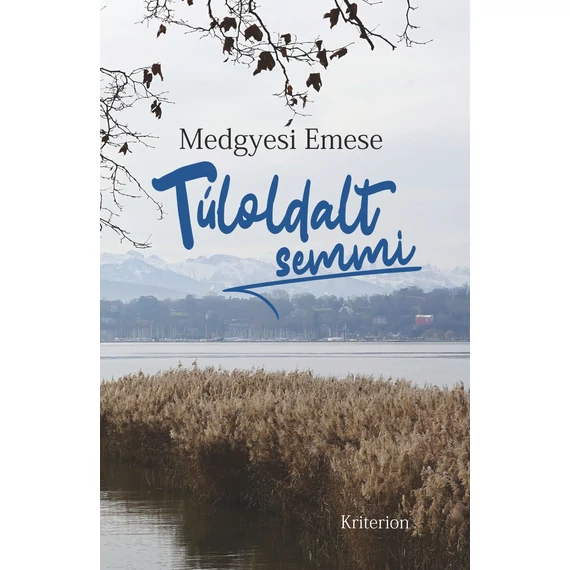 Túloldalt semmi - Medgyesi Emese